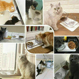 Double Elevated Pet Bowl Feeder Cat Dog Food Raised Lifted Stand Bowls