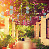 8Pcs Reflective Bird Deterrent Repellent Discs Keep Birds Pigeon Woodpecker Away