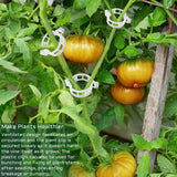 Veggie Garden Plant Support Clips for Trellis Twine Tomato Grafting Hanging Vine