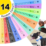 Cat Collar Pet 14 Colours Whelping ID Dog Puppy Kitten Adjustable Harness Bell