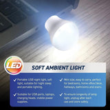 2PK Mini USB Light Lamp illuminex 1W 5V Cool White USB Bulb Night Globes