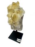 Citrinie Cluster on Stand C6 Healing Stone Crystal Decoration Home Meditation