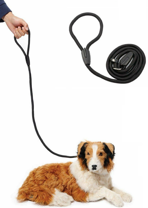 Black Slip Puppy Lead Nylon Rope Dog Training Correction Leash Pet 10mm