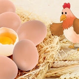 12x Plastic Fake Chicken Eggs Poultry Layer Coop Hatching Simulation Dummy Egg