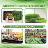 10pcs Garden Black Plastic Rectangle Plant Seedling Propagation Seeding Tray
