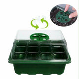 5 Set 12 Hole Plant Seeds Grow Box Propagation Nursery Seedling Starter Tray