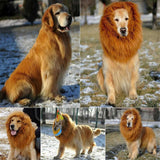 Lion Costume Mane Wig Large Dog Fancy Dress Up Party for Pet Halloween Clothes