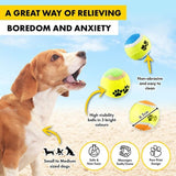 3x Pet Tennis Balls Dog Toys Exercise & Training Fetch Squeaky Play Ball Outdoor