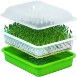 1x Seed Sprouter Tray with Lid BPA Free Bean Sprout Grower Sprouting Seeds Tray