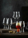 Luigi Bormioli Birrateque 6 Piece Craft Beer Glass Set