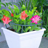 8x Stakes Plant Support Stand Frame Garden Climbing Trellis Flowers Stand Cage