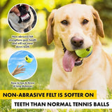 3x Pet Tennis Balls Dog Toys Exercise & Training Fetch Squeaky Play Ball Outdoor