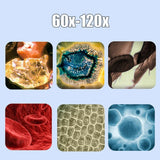 2x Kids Pocket Microscope 60X-120X Handheld Magnification Lens LED Lighted Asst