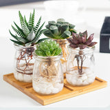 12x Glass Pudding Jars Glass Jars for Yogurt Milk Parfait with Lid Caps - 200ml