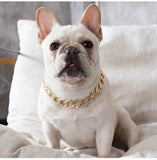 1x Gold Puppy Chain Necklace Pet Small Dog Necklace Collar Jewelry Neck - 45cm