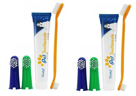 2x Pet Dog Cat Cleaning Toothpaste Toothbrush Back Up Brush Set Vanilla Flavour