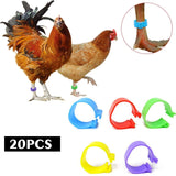 20pcs Birds Poultry Leg Rings Identification Bands Chicken Tags Ring 20mm Colour