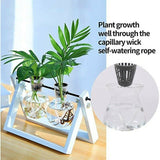40x Mesh Pots Basket Plant Grow Net Cup Aeroponic Hydroponics Aquaponic Mesh