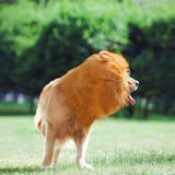 Lion Costume Mane Wig Large Dog Fancy Dress Up Party for Pet Halloween Clothes