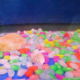 100x Mix Colour Pebbles Stone Glow Dark Home Garden Walkway Aquarium Fish Tank