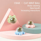 2x Rotatable Cat Treat Toy Catnip Snack Licking Ball Kitten Pet Molar Toys