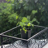 100x Plastic Plant Flower Pots Nursery Seedlings Garden Plant Pot Container