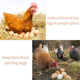 12x Plastic Fake Chicken Eggs Poultry Layer Coop Hatching Simulation Dummy Egg