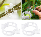 Veggie Garden Plant Support Clips for Trellis Twine Tomato Grafting Hanging Vine