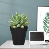 100x Plastic Plant Flower Pots Nursery Seedlings Garden Plant Pot Container