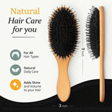 Boar Bristle Hair Brush Men Set Soft Nylon Pins Wooden Comb Travel