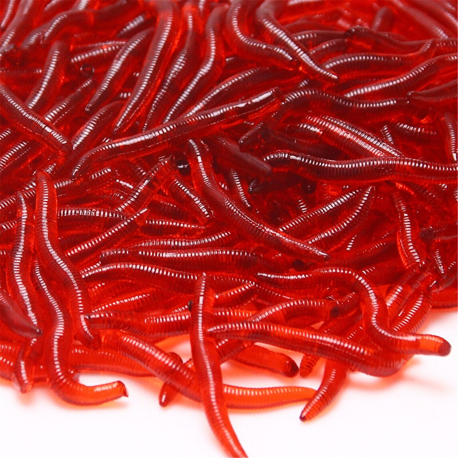 Fishing with Bloodworms as Bait