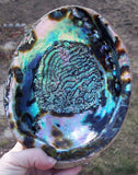 Abalone Natural Sea Shell Polished Rainbow Colors Designs 15cm