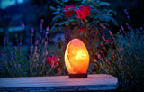 Egg Himalayan Crystal Salt With Lamp Natural Night Light Rock Energy 3kg