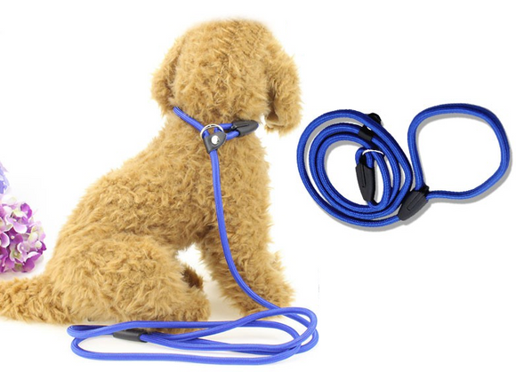 Blue Slip Puppy Lead Nylon Rope Dog Training Correction Leash Pet 6mm