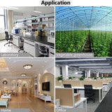 Household Analog Thermometer Hygrometer Temperature Humidity Monitor Meter Gauge