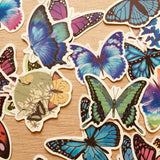 50pcs Butterfly Decoration Stickers Vinyl Decal Mix Waterproof Laptop iPhone
