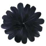 50pcs Black Goose Feathers 15-20cm Natural Feather DIY Craft Wedding Party Decor
