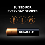 Duracell Coppertop AAA Battery (20 Pcs)