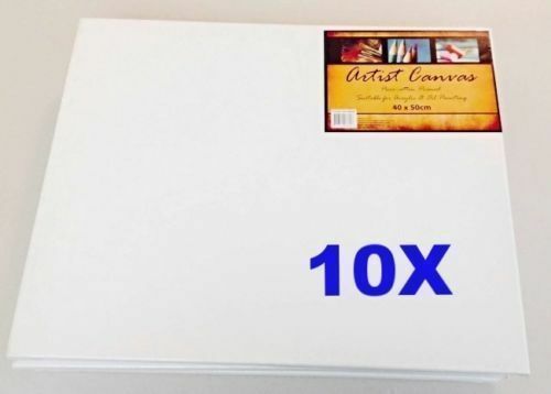 10X Artist Blank Stretched Canvas Canvases Art Large White Range Oil Acrylic Wood