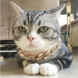 1x Gold Puppy Chain Necklace Pet Small Dog Necklace Collar Jewelry Neck - 36cm