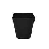 100x Plastic Plant Flower Pots Nursery Seedlings Garden Plant Pot Container
