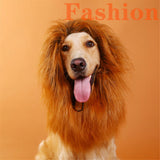 Lion Costume Mane Wig Large Dog Fancy Dress Up Party for Pet Halloween Clothes