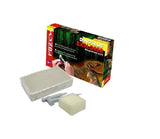 Dinosaur Explorer Excavation Kit Dino Skeleton Realistic Tools Educational