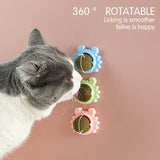 2x Rotatable Cat Treat Toy Catnip Snack Licking Ball Kitten Pet Molar Toys