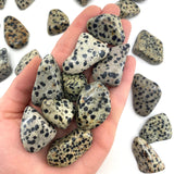 Dalmatian Jasper Gemstone Tumbled Stones Healing Crystals Grounding Tranquility