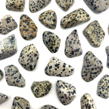 Dalmatian Jasper Gemstone Tumbled Stones Healing Crystals Grounding Tranquility