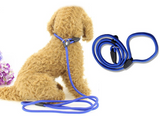 Blue Slip Puppy Lead Nylon Rope Dog Training Correction Leash Pet 8mm