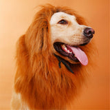 Lion Costume Mane Wig Large Dog Fancy Dress Up Party for Pet Halloween Clothes