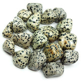 Dalmatian Jasper Gemstone Tumbled Stones Healing Crystals Grounding Tranquility