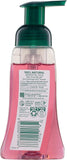 Palmolive Foaming Hand Wash Soap 250mL Raspberry Pump